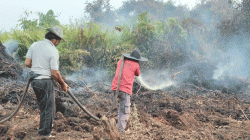 Penanganan Karhutla di Area Konsesi PT HBM Disorot, Diduga Meluas ke Kebun Warga